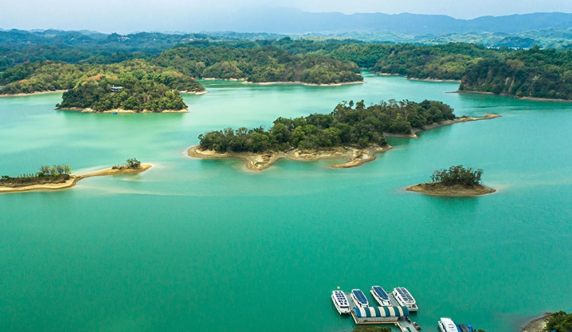 六甲落羽松 交通