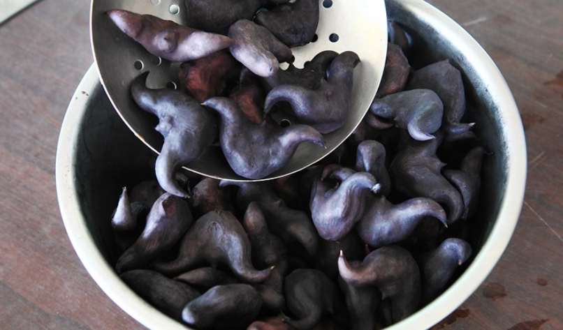 官田菱角 官田菱角