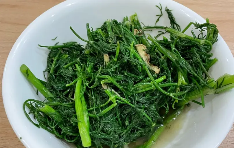 茴香菜料理