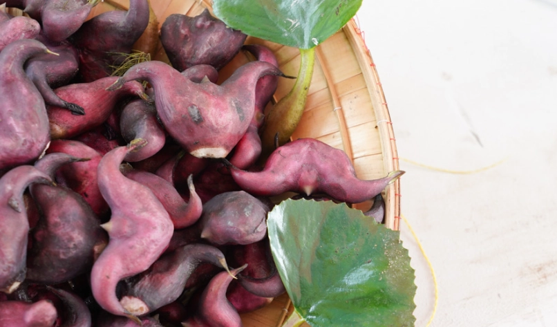 官田美食 官田美食