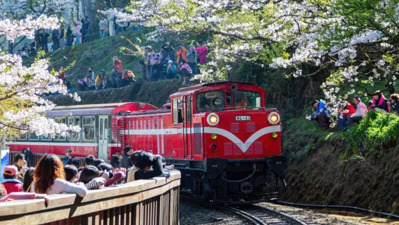 阿里山森林遊樂區
