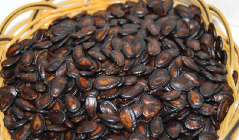 西瓜籽營養 西瓜籽營養