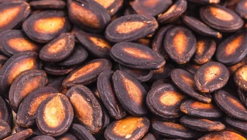 西瓜籽營養 西瓜籽營養