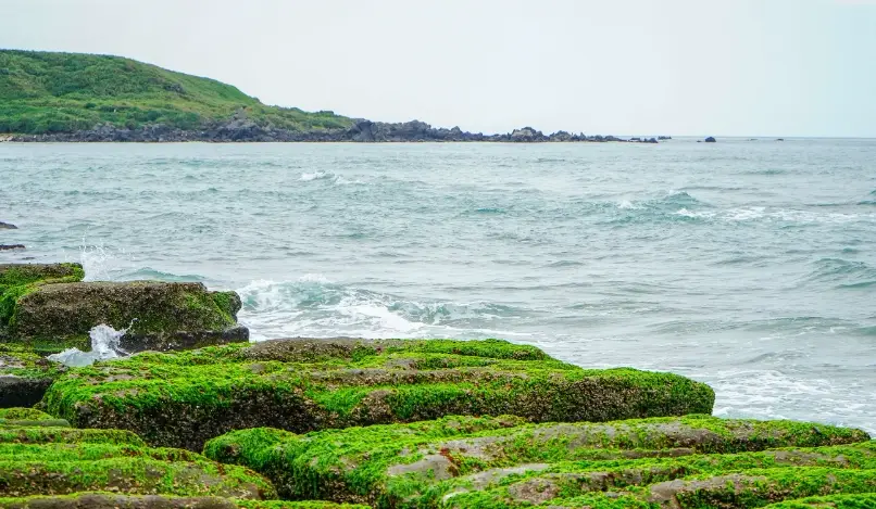 北部秘境 北部秘境