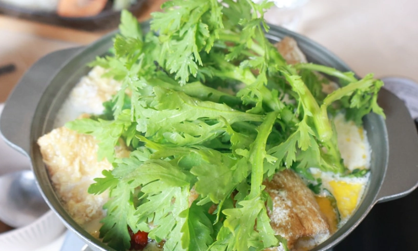 花蓮火鍋寵物友善