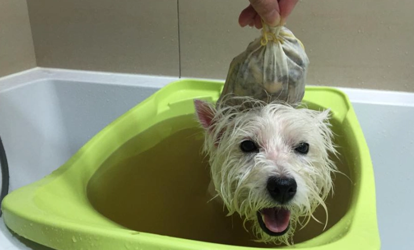 寵物藥浴推薦 寵物藥浴推薦