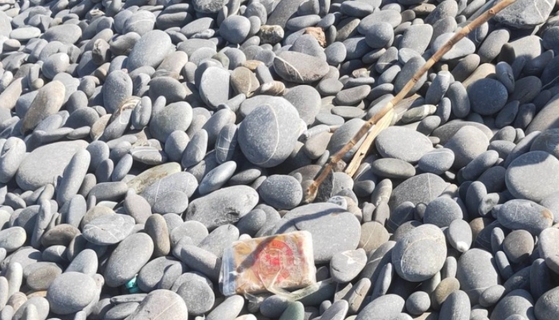 國家公園 撿拾石頭 規定