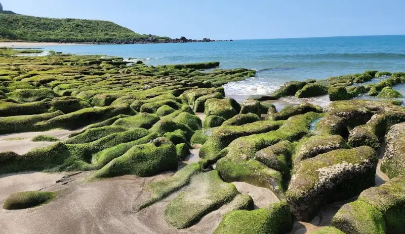 北部一日遊 北部一日遊