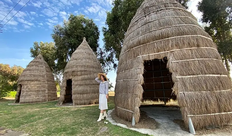 雲林大埤景點 雲林大埤景點