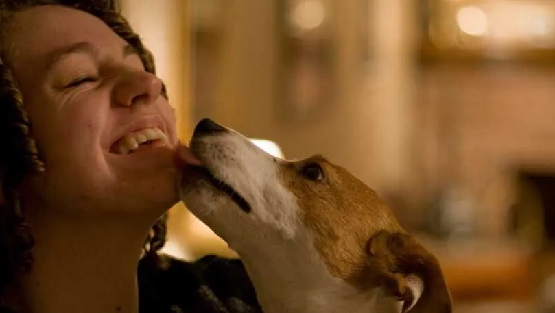 如何知道狗狗愛你