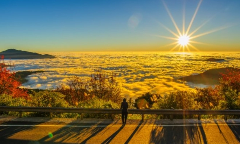 阿里山一日遊攻略：經典路線、交通、美食全解析