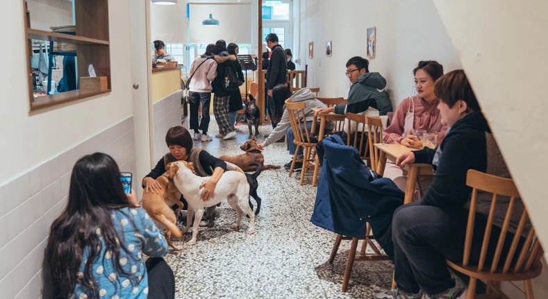 寵物友善餐廳花蓮