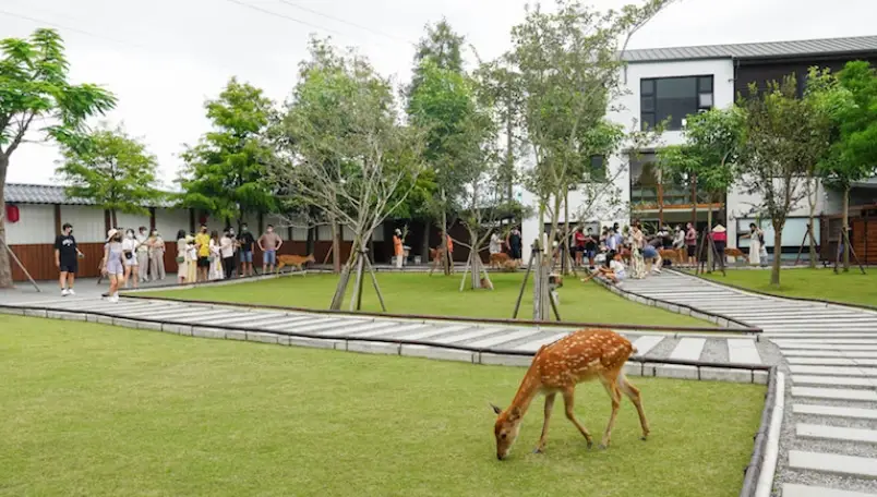 宜蘭室內景點 情侶 宜蘭室內景點 情侶