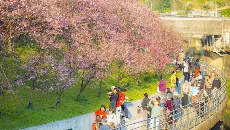 北部秘境 北部秘境