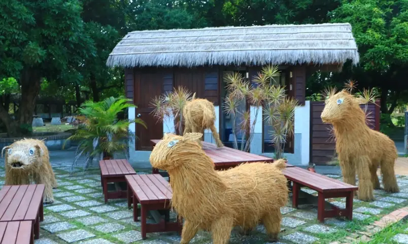 大埤酸菜 大埤酸菜