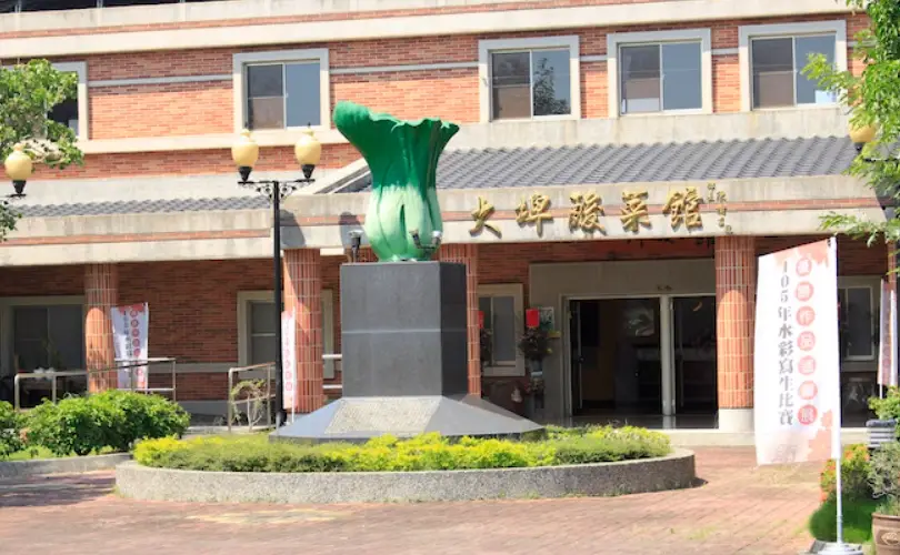 大埤酸菜 大埤酸菜