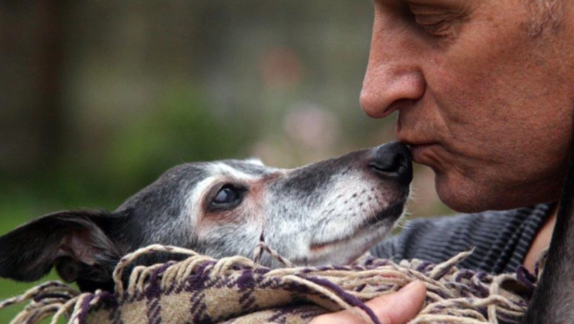 狗狗快死了行為