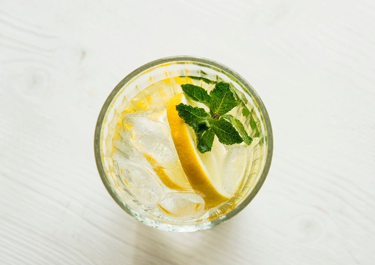 檸檬水食譜 檸檬水食譜