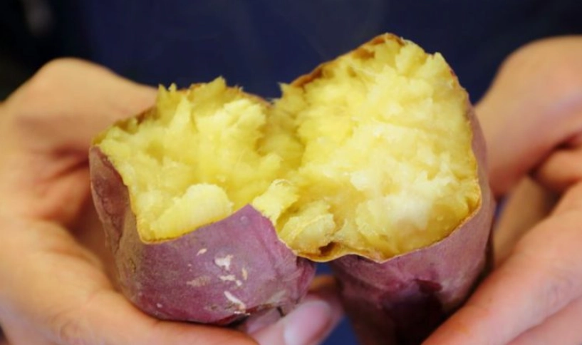 蒸地瓜 vs 烤地瓜 蒸地瓜 vs 烤地瓜