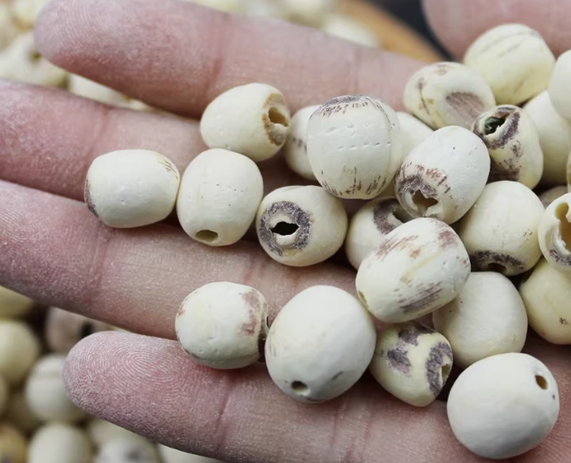 去芯蓮子食譜 去芯蓮子食譜