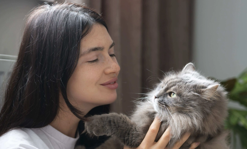 貓結紮後行為 貓結紮後行為