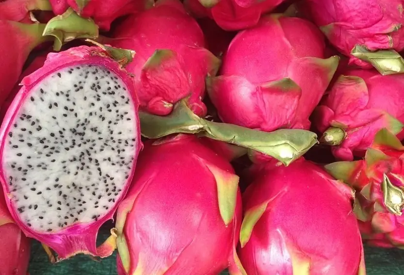 火龍果怎麼切