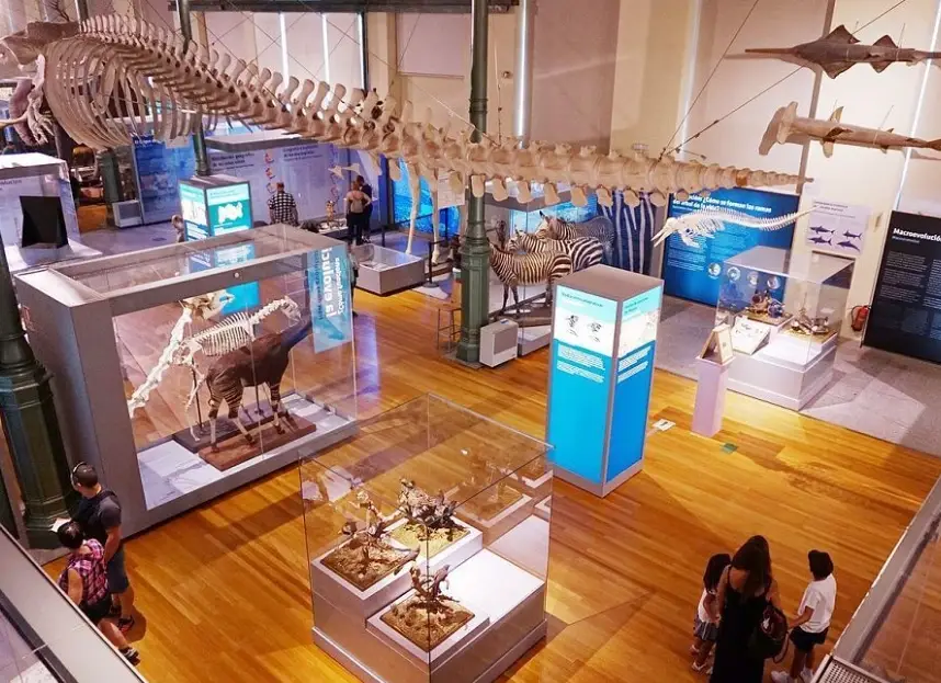 台中一日遊行程 台中一日遊行程