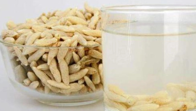 麥門冬食用方法 麥門冬食用方法