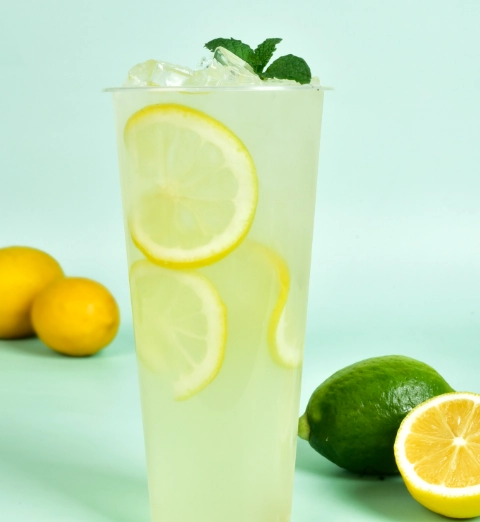 檸檬水食譜 檸檬水食譜