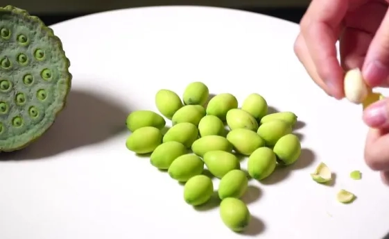 蓮子怎麼煮 蓮子怎麼煮