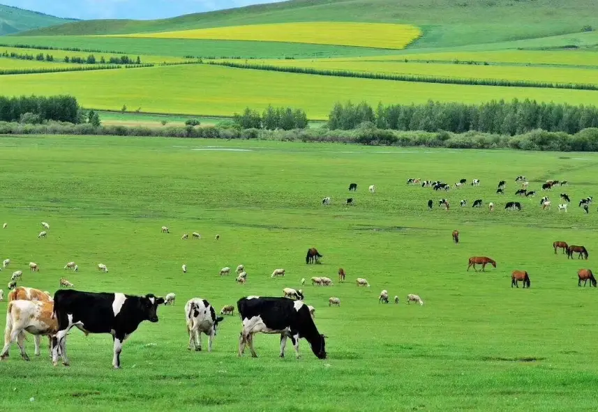 內蒙古旅遊季節