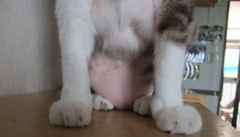 產後護理 產後護理