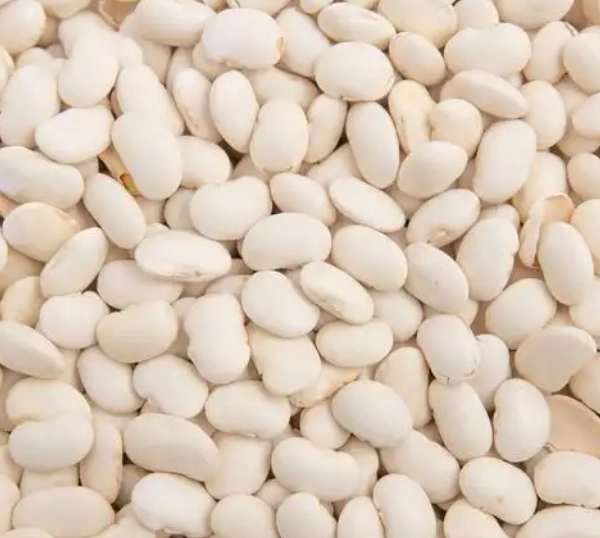 白扁豆禁忌 白扁豆禁忌