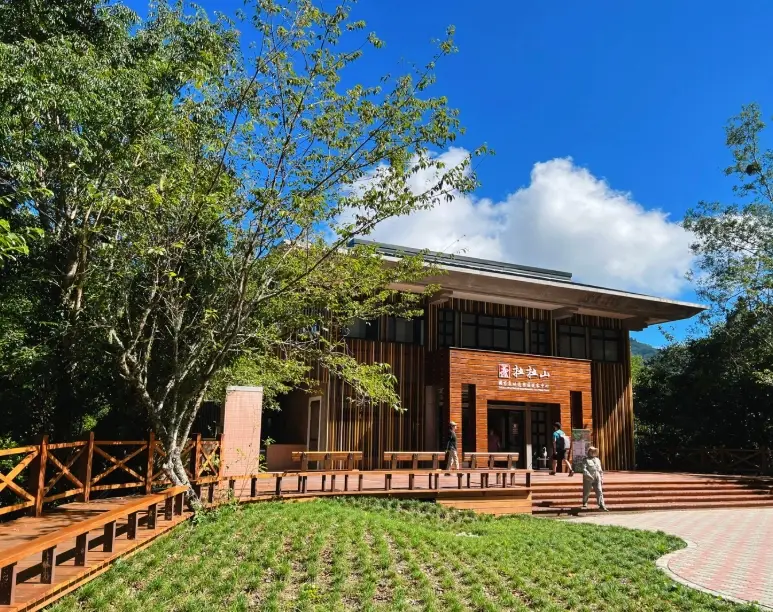 拉拉山巨木群步道