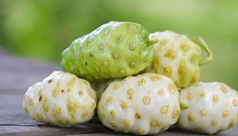 諾麗果酵素功效與禁忌 諾麗果酵素功效與禁忌