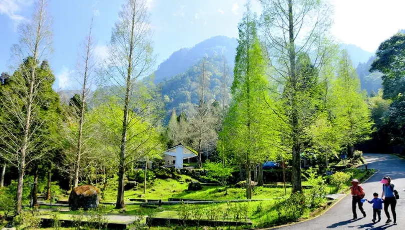 清境農場住宿 清境農場住宿