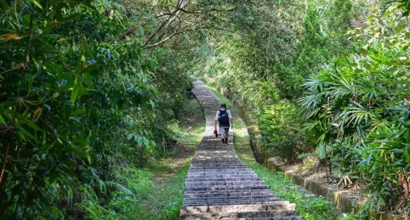 捷運登山步道推薦 捷運登山步道推薦