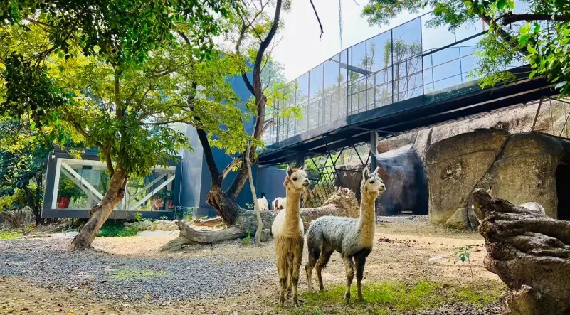 高雄親子一日遊