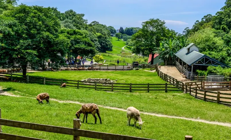 苗栗銀髮族景點 苗栗銀髮族景點