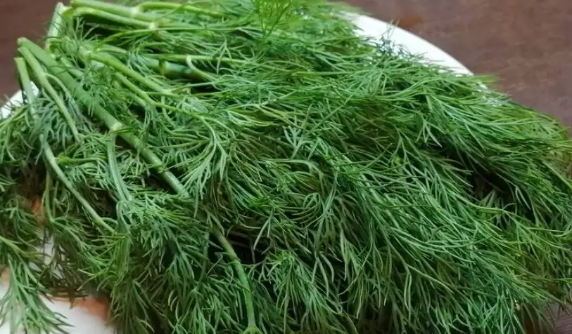 台北 茴香菜炒蛋 餐廳 台北 茴香菜炒蛋 餐廳