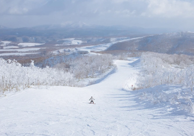 北海道滑雪費用