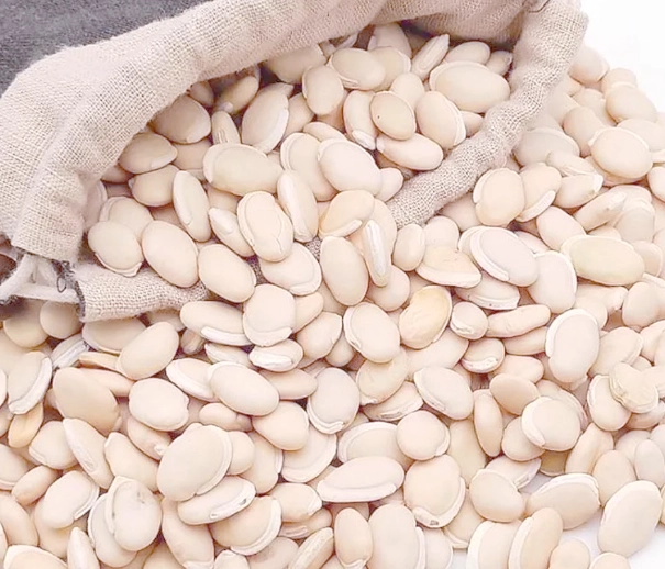 白扁豆食物相克 白扁豆食物相克