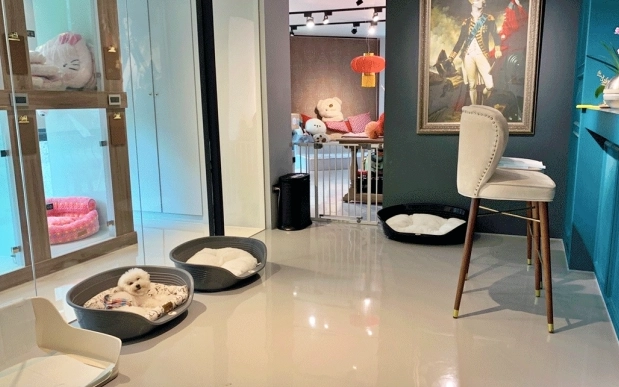 寵物住宿台中 寵物住宿台中