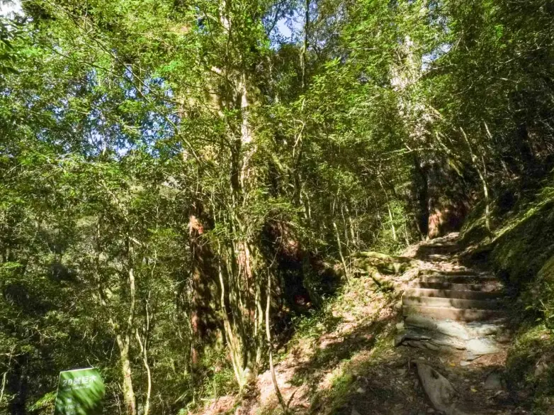 拉拉山國家森林遊樂區 交通