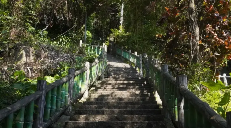 台北親山步道 台北親山步道