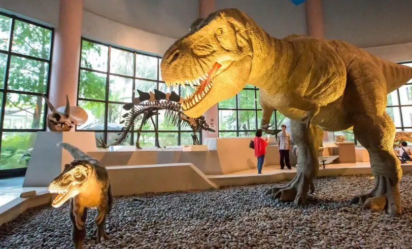 輪椅友善景點 輪椅友善景點