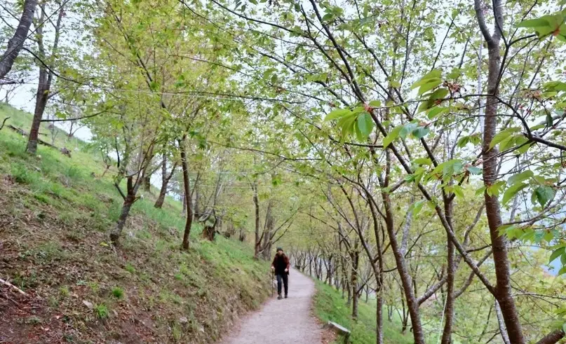 尖石鄉景點 尖石鄉景點