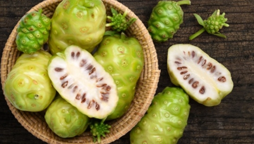 諾麗果酵素功效與禁忌 諾麗果酵素功效與禁忌