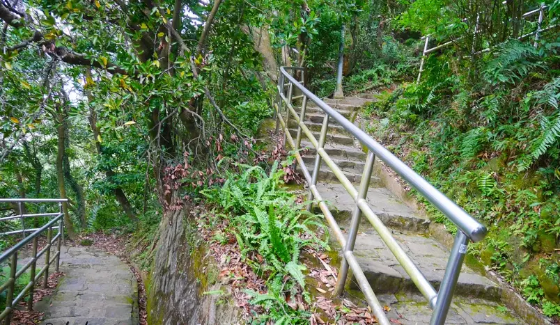 台北親山步道 台北親山步道