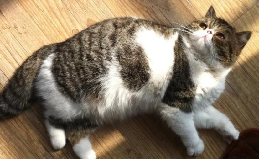 產後護理 產後護理